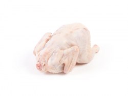 Цыплёнок корнишон (руб/кг)
